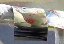 Possibly 'forbidden' images: In an unguarded moment I discovered ...